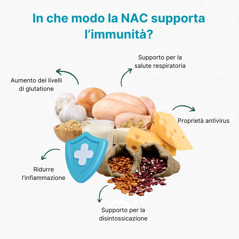 (Italština)  Jak NAC podporuje imunitu